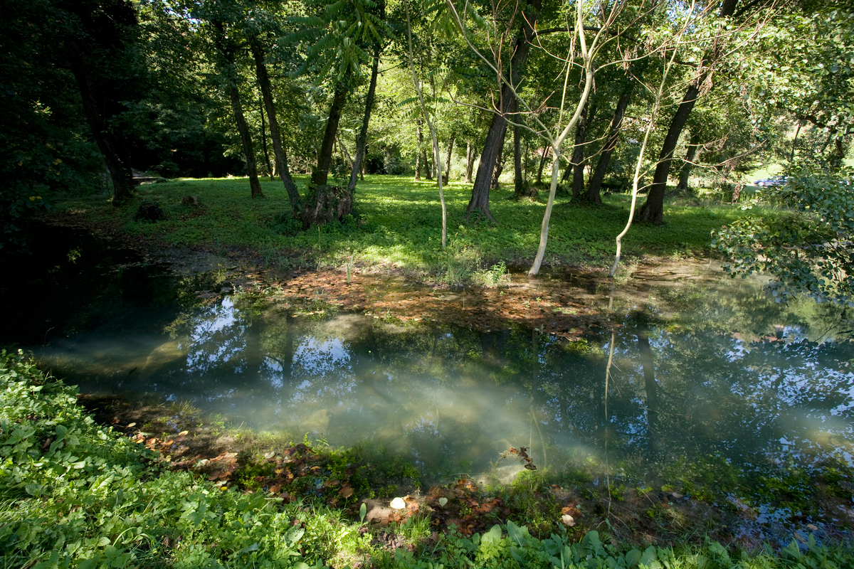 bb-VitaaTrebnje09-D5-0527-1-slide